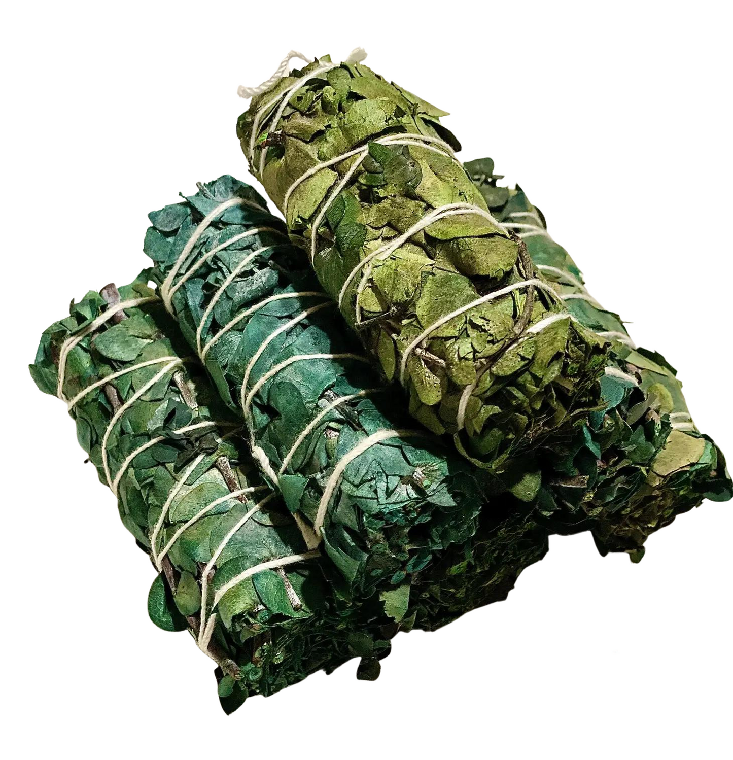 Eucalyptus Smudge Bundle – Purification, Healing & Clarity